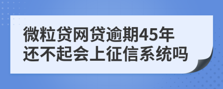 微粒贷网贷逾期45年还不起会上征信系统吗