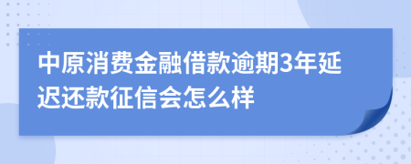 中原消费金融借款逾期3年延迟还款征信会怎么样