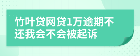 竹叶贷网贷1万逾期不还我会不会被起诉