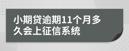 小期贷逾期11个月多久会上征信系统