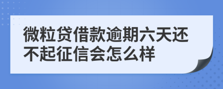 微粒贷借款逾期六天还不起征信会怎么样