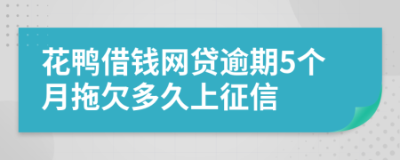 花鸭借钱网贷逾期5个月拖欠多久上征信