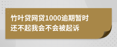 竹叶贷网贷1000逾期暂时还不起我会不会被起诉