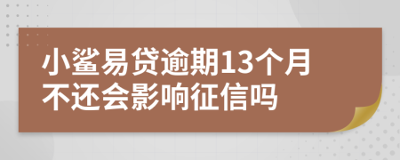 小鲨易贷逾期13个月不还会影响征信吗