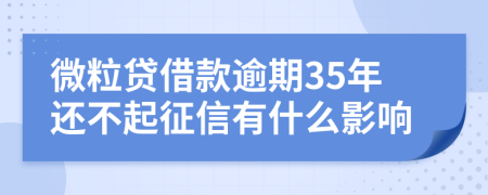 微粒贷借款逾期35年还不起征信有什么影响