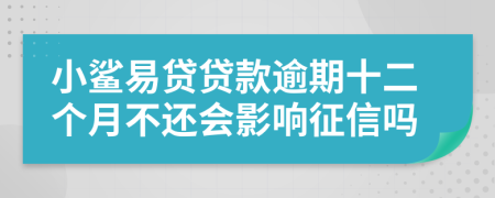 小鲨易贷贷款逾期十二个月不还会影响征信吗