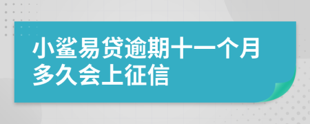 小鲨易贷逾期十一个月多久会上征信