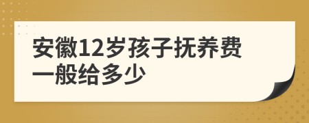 安徽12岁孩子抚养费一般给多少