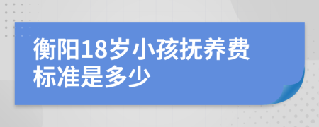 衡阳18岁小孩抚养费标准是多少