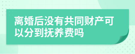 离婚后没有共同财产可以分到抚养费吗