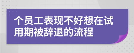 个员工表现不好想在试用期被辞退的流程