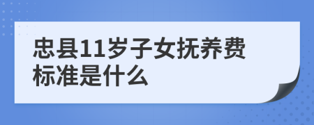 忠县11岁子女抚养费标准是什么