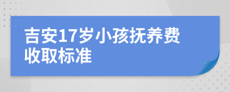 吉安17岁小孩抚养费收取标准