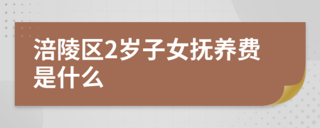 涪陵区2岁子女抚养费是什么