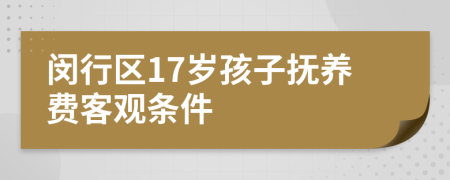 闵行区17岁孩子抚养费客观条件
