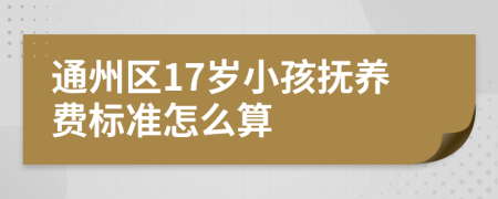 通州区17岁小孩抚养费标准怎么算