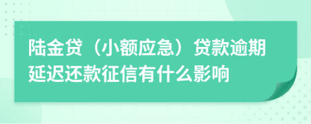 陆金贷（小额应急）贷款逾期延迟还款征信有什么影响