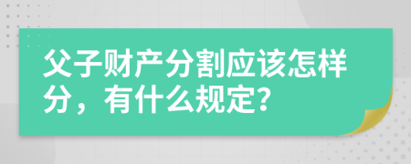 父子财产分割应该怎样分，有什么规定？