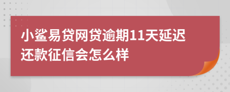 小鲨易贷网贷逾期11天延迟还款征信会怎么样