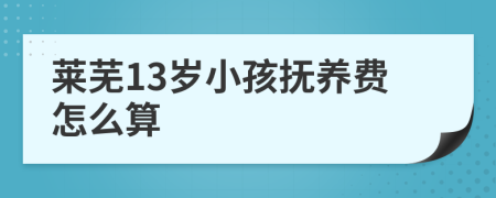 莱芜13岁小孩抚养费怎么算