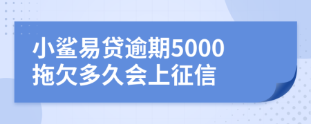 小鲨易贷逾期5000拖欠多久会上征信