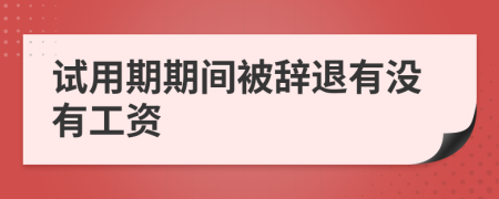 试用期期间被辞退有没有工资