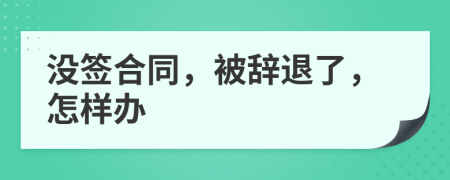 没签合同，被辞退了，怎样办