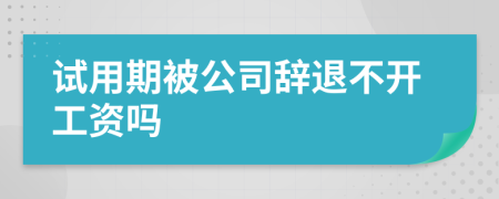 试用期被公司辞退不开工资吗