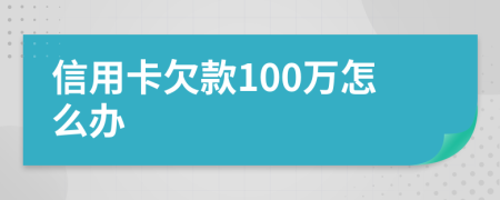 信用卡欠款100万怎么办