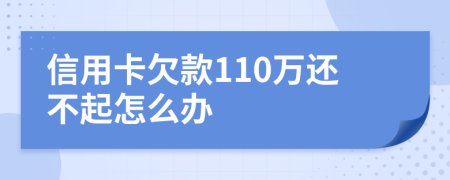 信用卡欠款110万还不起怎么办