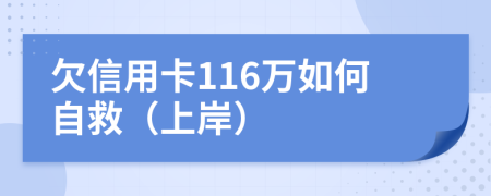 欠信用卡116万如何自救（上岸）