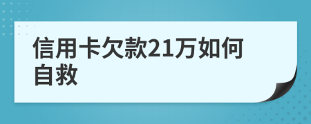 信用卡欠款21万如何自救