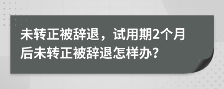 未转正被辞退，试用期2个月后未转正被辞退怎样办？