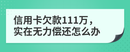 信用卡欠款111万，实在无力偿还怎么办