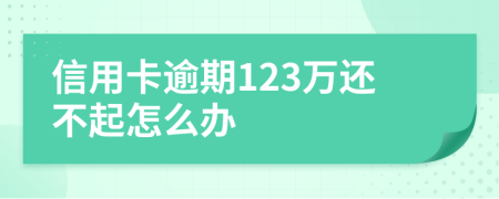 信用卡逾期123万还不起怎么办