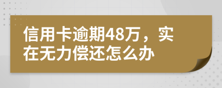 信用卡逾期48万，实在无力偿还怎么办