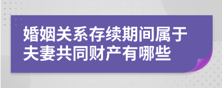 婚姻关系存续期间属于夫妻共同财产有哪些