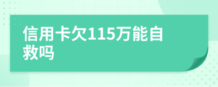 信用卡欠115万能自救吗