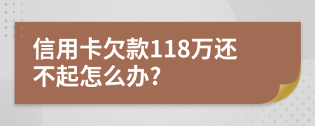 信用卡欠款118万还不起怎么办?