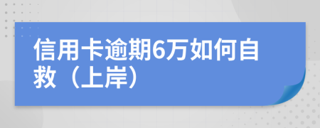 信用卡逾期6万如何自救（上岸）