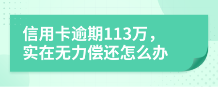 信用卡逾期113万，实在无力偿还怎么办