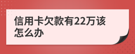 信用卡欠款有22万该怎么办