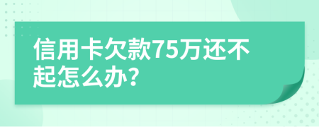 信用卡欠款75万还不起怎么办？