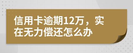 信用卡逾期12万，实在无力偿还怎么办