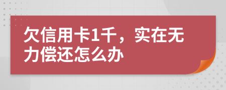 欠信用卡1千，实在无力偿还怎么办