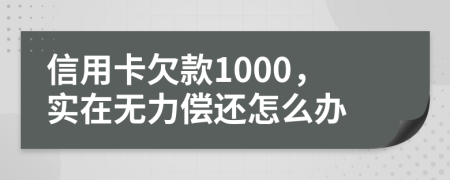 信用卡欠款1000，实在无力偿还怎么办