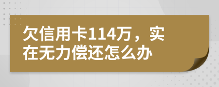 欠信用卡114万，实在无力偿还怎么办