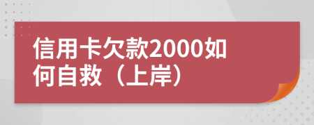 信用卡欠款2000如何自救（上岸）