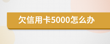 欠信用卡5000怎么办