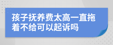 孩子抚养费太高一直拖着不给可以起诉吗